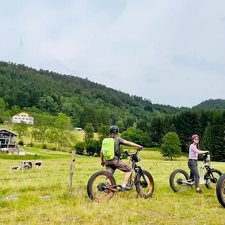 4 Etoiles A La Bresse, Grand Confort, Proche Station - Fr-1-589-394