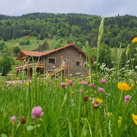 4 Etoiles A La Bresse, Grand Confort, Proche Station - Fr-1-589-394 La Bresse