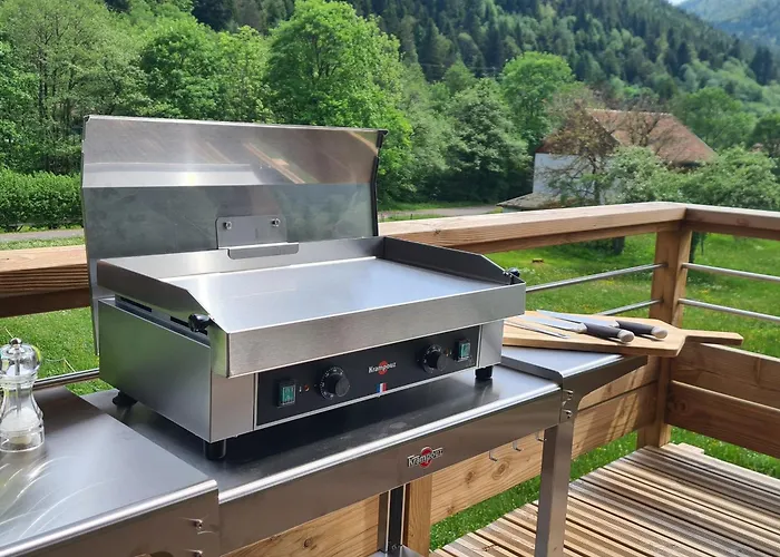 4 Etoiles A La Bresse, Grand Confort, Proche Station - Fr-1-589-394 Prázdninový dům *