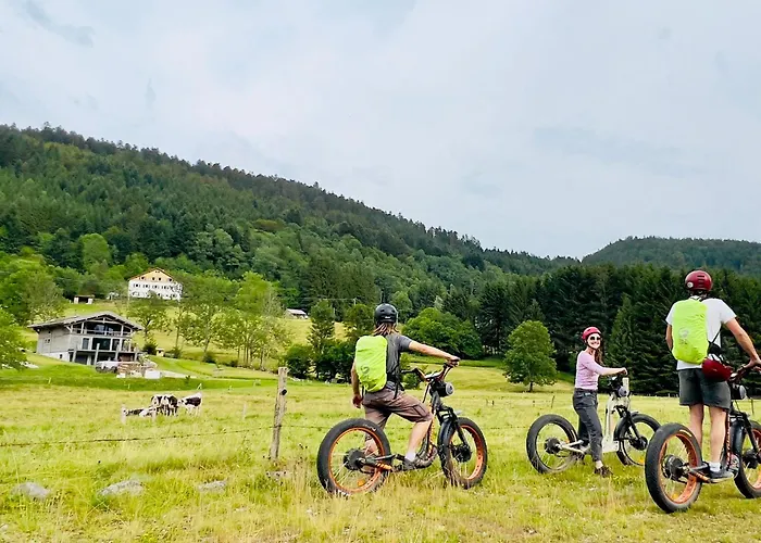 4 Etoiles A La Bresse, Grand Confort, Proche Station - Fr-1-589-394