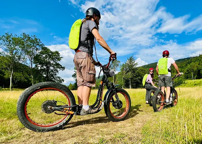 Prázdninový dům 4 Etoiles A La Bresse, Grand Confort, Proche Station - Fr-1-589-394