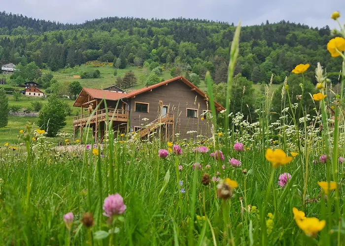 4 Etoiles A La Bresse, Grand Confort, Proche Station - Fr-1-589-394 La Bresse